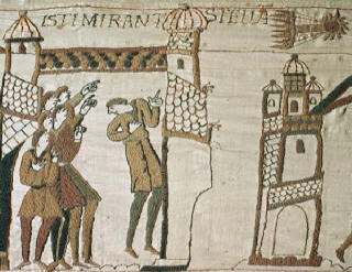 Image result for bayeux tapestry comet